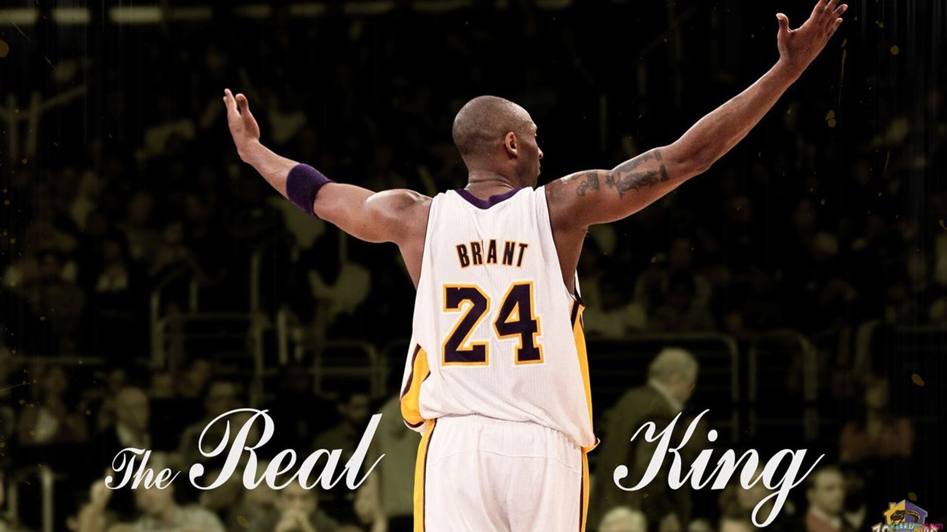 体育旅游市场火爆